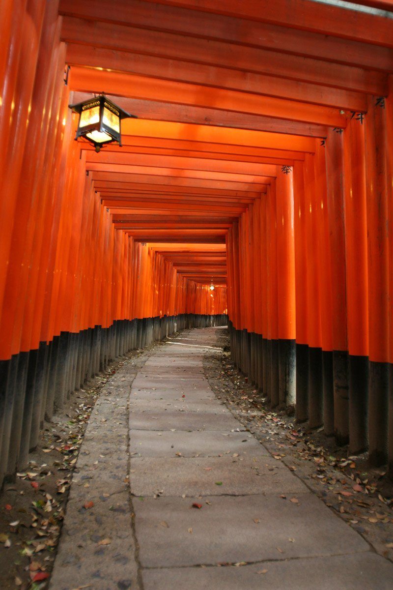 Vermilion torii at Fushimi Inari Taisha.